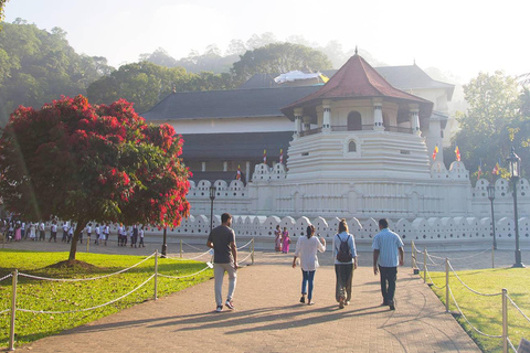 From Colombo: Kandy Temple of the Tooth & Botanical Gardens…