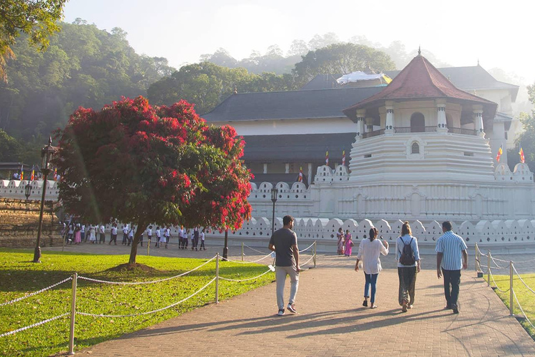 From Colombo: Kandy Temple of the Tooth & Botanical Gardens…