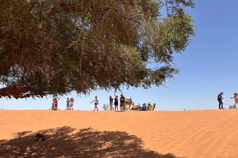 Agadir: Mini Sahara 4x4 Jeep Safari with Berber Lunch PICK UP FROM AGADIR