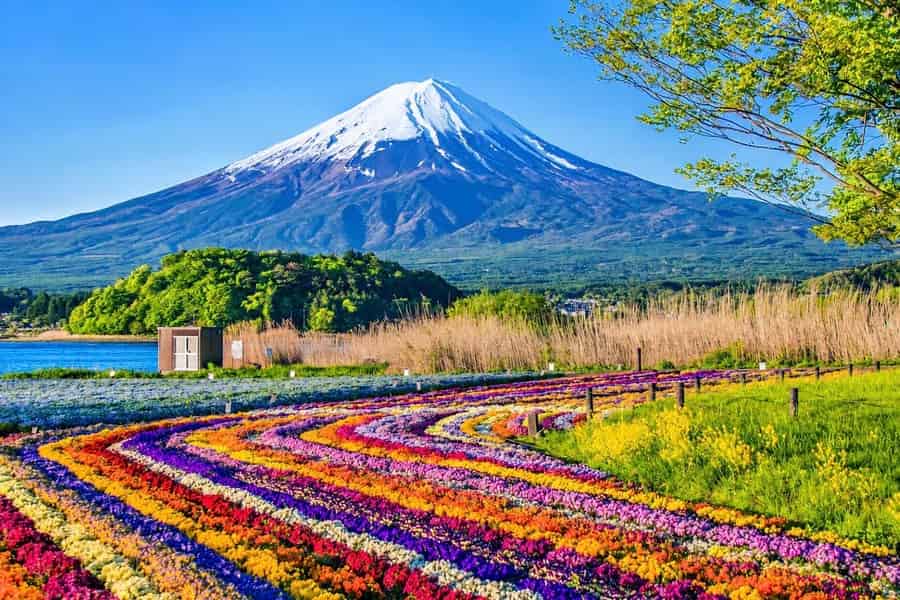 Berg Fuji: Individuelle Tagestour mit englischsprachigem Guide. Foto: GetYourGuide Berg Fuji: Individuelle Tagestour mit englischsprachigem Guide. Foto: GetYourGuide