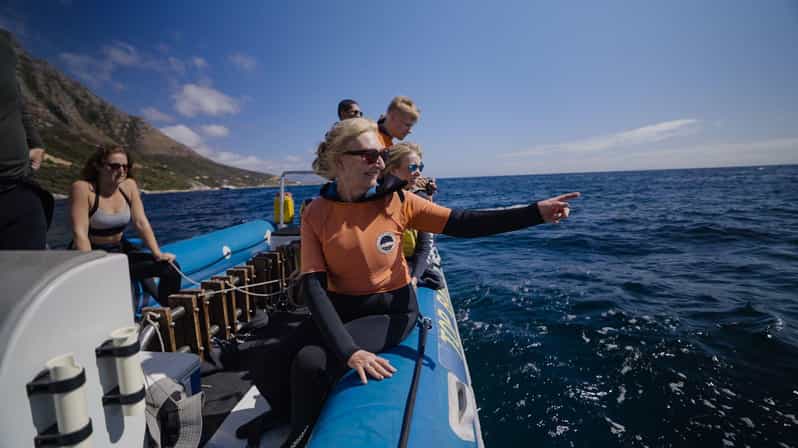Cape Town: Marine Big 5 Ocean Safari & Research Expedition