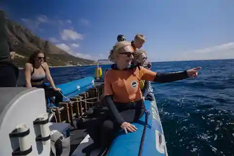 Cape Town: Marine Big 5 Ocean Safari & Research Expedition