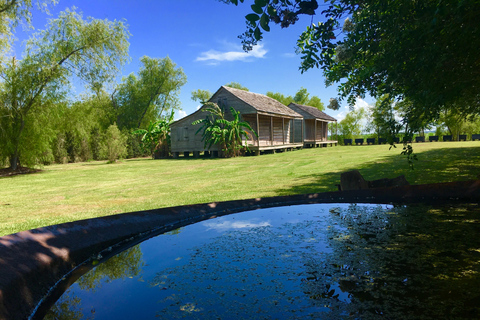 From New Orleans: Whitney and Laura Guided Plantation Tour