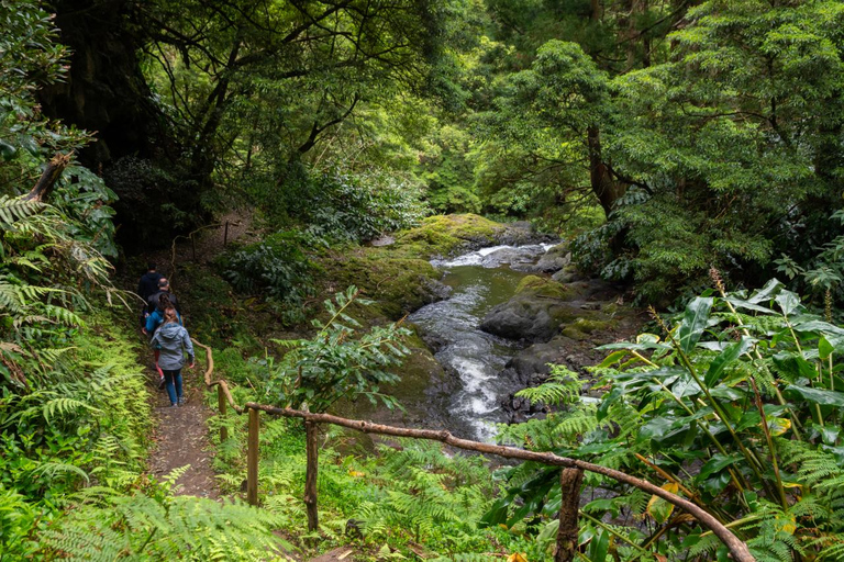 São Miguel Island: Chasing Waterfalls in the Azores
