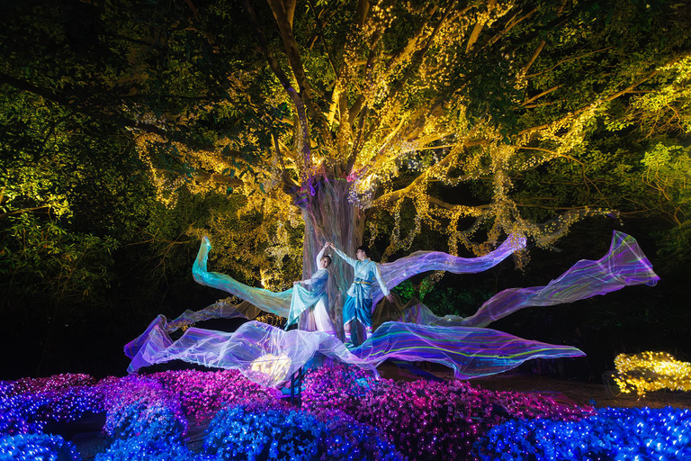 The Lens: Once-a-Year Light Festival Journey Light Festival at Na Satta Park: Magical Once-a-Year Moment