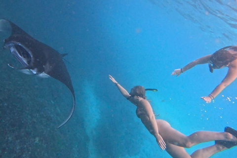 Lembongan: Manta Bay, Turtle Bay, & Gamat Bay Snorkeling