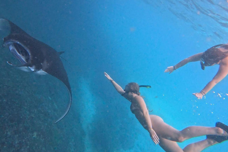 Lembongan: Manta Bay, Turtle Bay, & Gamat Bay Snorkeling