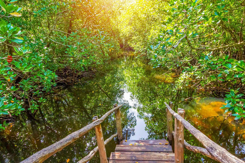 Zanzibar : Forêt de Jozani, promenade dans la nature et visite de la faune et de la flore