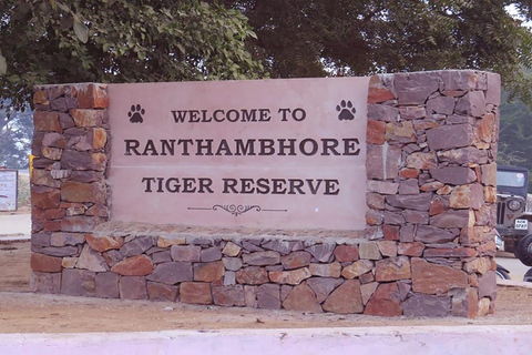 Jaipur: privérondleiding door Ranthambore met taxi