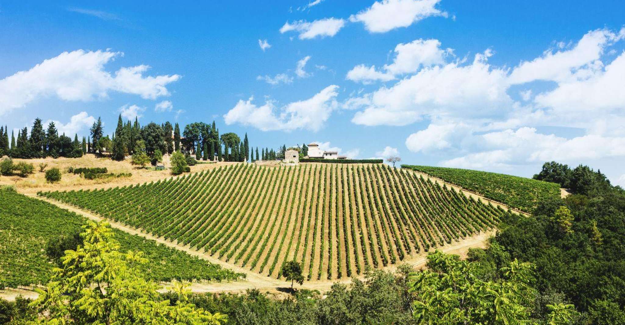 Tour in E-Bike di Terricciola Valdera + degustazione di vini, servizio fotografico