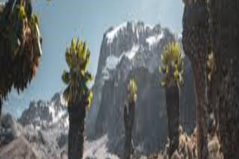 Kilimanjaro: 6-Day Trekking Umbwe Route