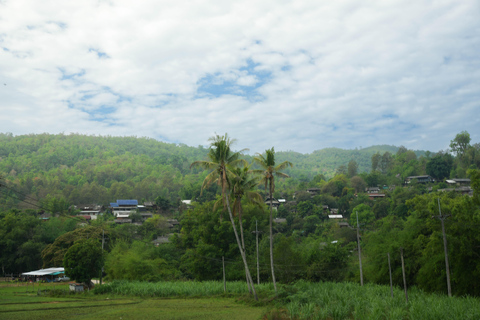 Chiang Mai: Jungle Jumbo Elephant Sanctuary with Waterfall