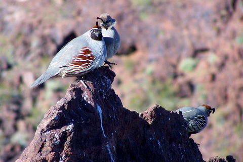 Las Vegas: Small Group Hoover Dam, Power Plant & Bridge Tour