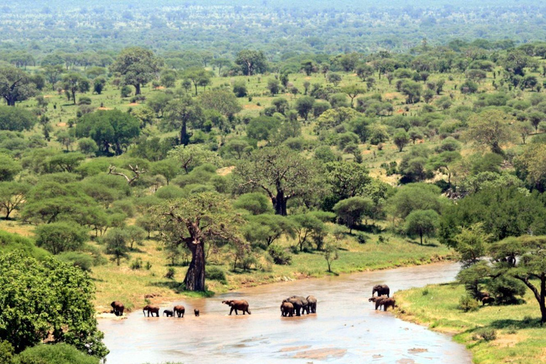 Excursión de 3 días a los humedales de Hluhluwe e Isimangaliso desde Durban