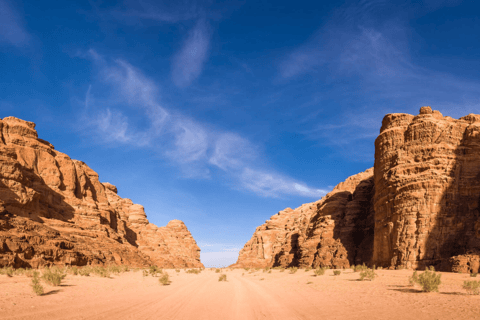 Wadi Rum: Bedouin Camp, Fire Dinner & Desert Experience