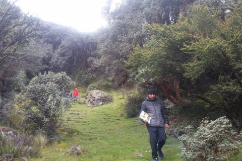 Cuenca: Escursione di un giorno al Parco Nazionale di Cajas e Dos Chorreras