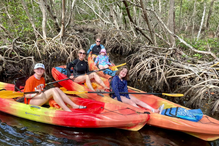Sarasota: Guided Mangrove Tunnel Kayak Tour Lido Key