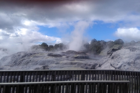 Z Auckland: 1-dniowa wycieczka do Rotorua z opcjonalnymi dodatkamiRotorua i Treewalk