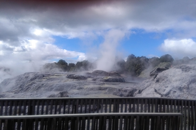 Au départ d'Auckland : Excursion d'une journée à Rotorua avec options supplémentaires