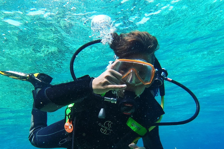 Malte : Baptême de plongée sous-marine en Français