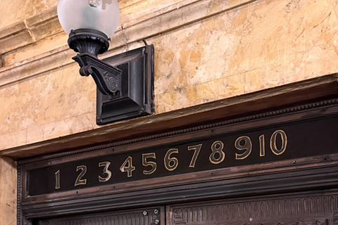 Chicago: Spacer po budynku sztuk pięknych