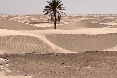 Onderdompeling in de Sahara: Avontuur met 2 nachten kamp en bivak