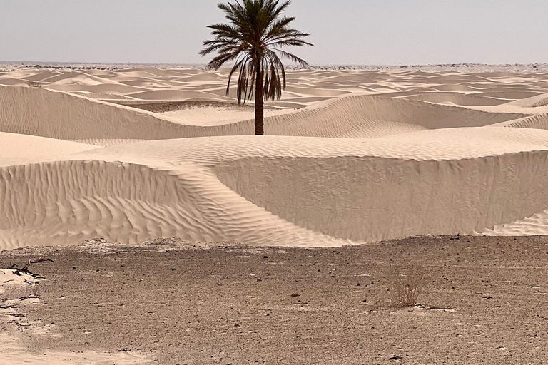 Immersione nel Sahara: un&#039;avventura di 2 notti con campo e bivaccoImmersione nel Sahara: avventura di 2 notti con campo e bivacco