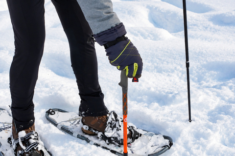 Rovaniemi: Snowshoeing Tour with Wild Lunch and Hotel Pickup