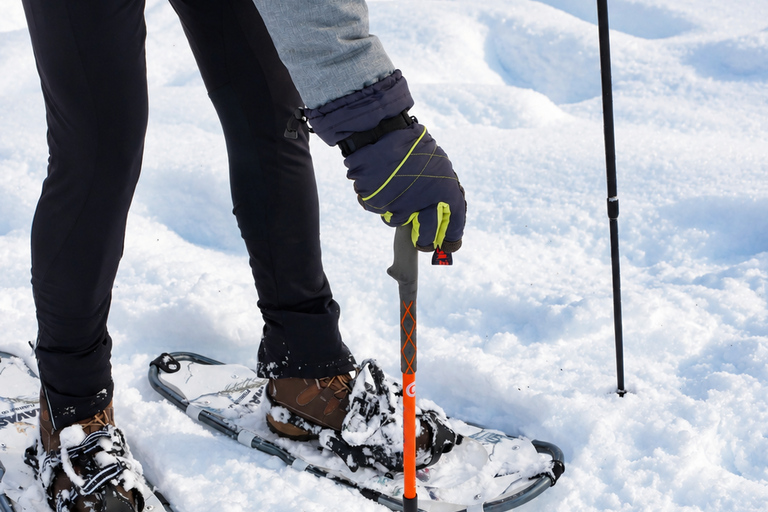 Rovaniemi: Snowshoeing Tour with Wild Lunch and Hotel Pickup