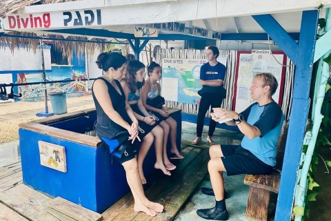 La Romana: Półdniowy kurs nurkowania z odbiorem z hotelu