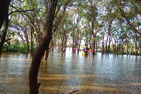 Cambodia: 7-Day Cycling Tour from Phnom Penh to Siem Reap