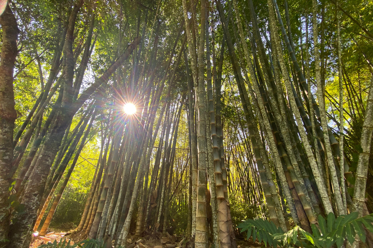 Z Huatulco: Egzotyczny ogród w ekoturystycznym ranczu i wizyta w punkcie widokowym.Z Huatulco: Egzotyczny ogród w ekoturystycznym ranczu i wizyta w punkcie widokowym
