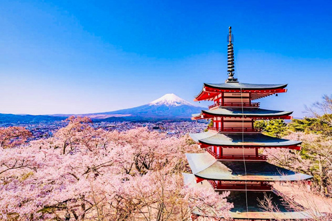 Tokio: Private Tagestour zum Mt.Fuji mit englischsprachigem Fahrer