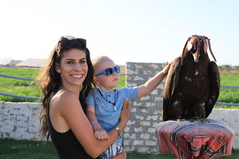 Hurghada: Jeep Safari, piantumazione di alberi e pranzo "dalla fattoria alla tavola"Hurghada: safari in jeep, piantumazione di alberi e pranzo "dalla fattoria alla tavola"