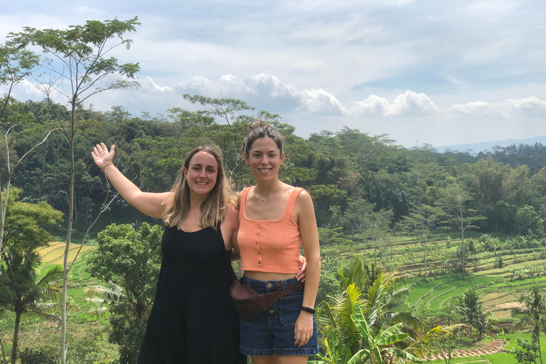 Yogyakarta: Borobudur Climb Up & Selogriyo Rice Terrace Tour