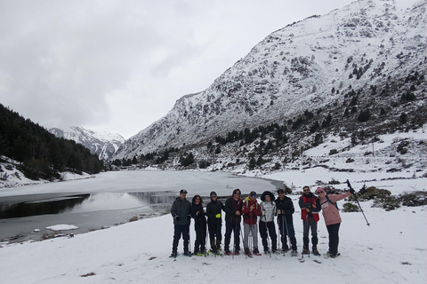 Pyrenees: Family Snowshoe Tour and Igloo Building