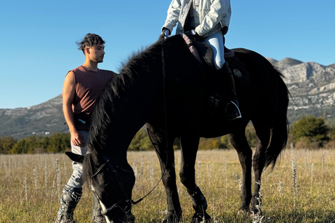 Dubrovnik: Horse Riding with local guide - beginner friendly