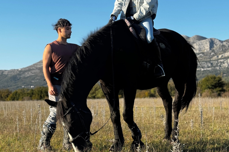 Dubrovnik: Horse Riding with local guide - beginner friendly