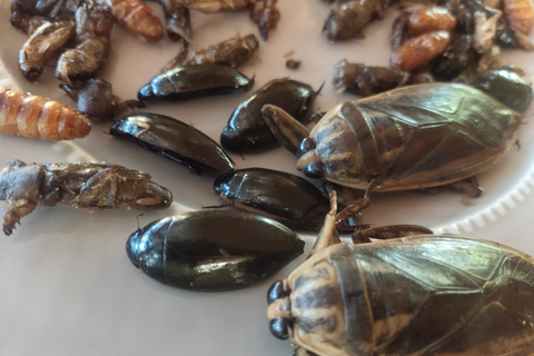 Chiang Mai: Sticky Waterfalls, Blue Pink Temple, and Cycling Chiang Mai: Sticky Waterfalls, Blue Pink Temple, and Market