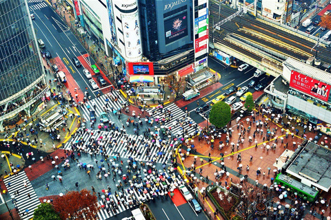 Tour panoramico privato di Tokyo con autista parlante ingleseTour privato di Tokyo di un giorno intero con autista parlante inglese