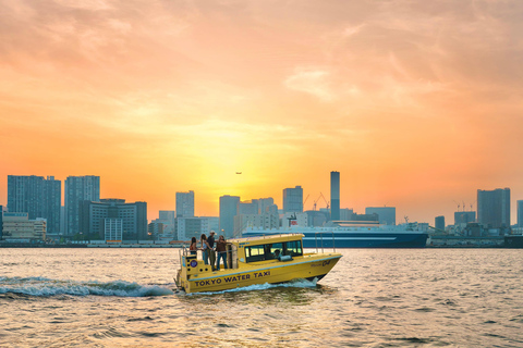 Tokyo: Panoramic Sunset Bay Cruise with Local Guide (Private Boat) Sunset Bay Cruise with Local Guide