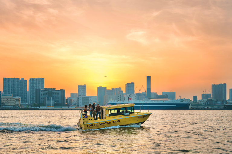 Tokyo: Panoramic Sunset Bay Cruise with Local Guide (Private Boat) Sunset Bay Cruise with Local Guide