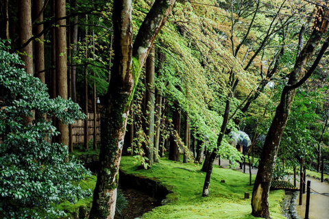 Excursion d&#039;une journée sur les sites incontournables de Jeju (circuit est)