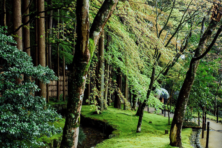 Excursion d&#039;une journée sur les sites incontournables de Jeju (circuit est)