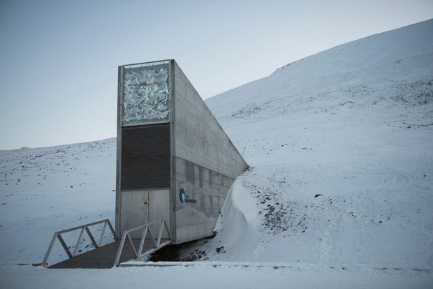 Longyearbyen: Geführter Spaziergang zum Globalen Samenlager auf Spitzbergen