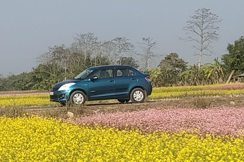 Kathmandu to Chitwan (Sauraha) Private Transfer