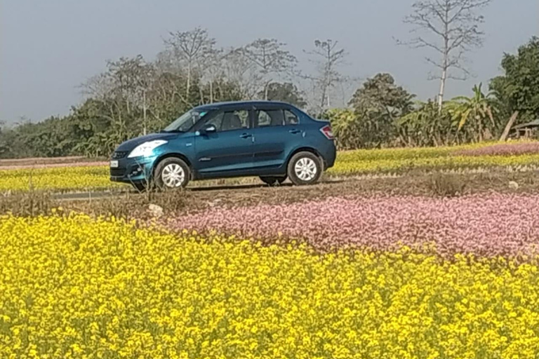 Kathmandu to Chitwan (Sauraha) Private Transfer