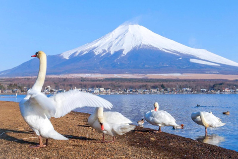 Tokio: Mount Fuji &amp; Meer Kawaguchi Vuurwerk Festival Dagtour