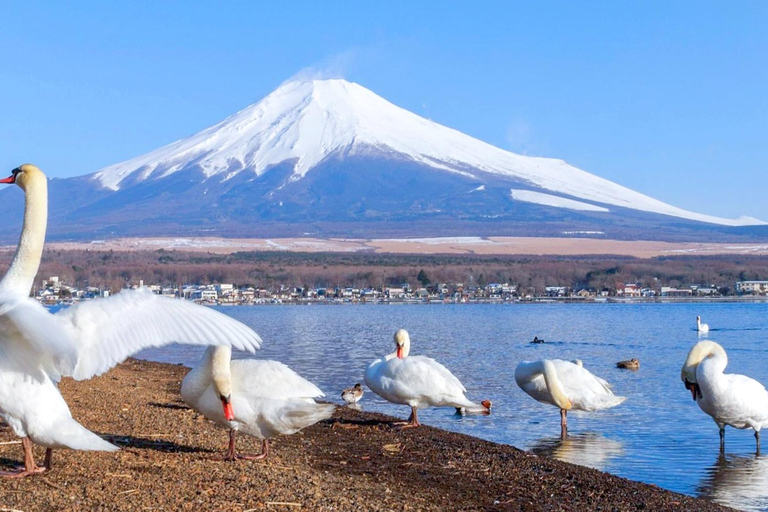 Tokio: Mount Fuji &amp; Meer Kawaguchi Vuurwerk Festival Dagtour