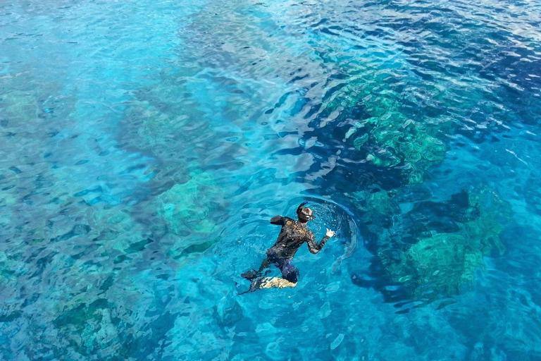 Cancun: Expedição na selva com passeio de lancha e mergulho com snorkel